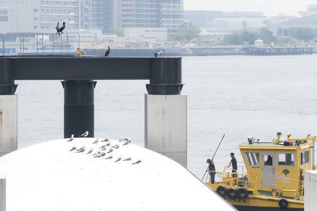 東京都庁広報課のグルメインスタ