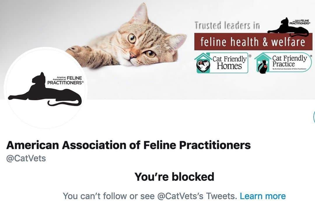 City the Kittyさんのインスタグラム写真 - (City the KittyInstagram)「@catfriendlyhomes (AAFP) blocked me. 🙀🙀🙀🐾 Transparency is the key to being a trustworthy organization don't you think? The American Association of Feline Practitioners (@catfriendlyhomes ) claim they are the trusted leaders in feline health & welfare. 🤔  What do you think? .  Why is AAFP hiding all your educational and respectful comments about declawing on their latest facebook posts about pain in felines? (When they hide a comment, only the person who wrote the comment can still see it and thinks it's still up.)😾😾😾😾😾 #notcool .  We will show you some of the comments that they are hiding in our story, Masters of hiding the truth on the link on our bio.  Also, why would they block us on Twitter and Facebook when all we are doing is respectfully shining light on the truth?  Please take 60 seconds and sign our petition to AAFP. We are almost at 10,000 signatures. Petition is on the link on my Instagram bio.  If you want things to change for the better for cats, please share this post and send our story to your local news media. We must get media attention so that more people know about these injustices against cats!  #AAFP #CATVETS #veterinarian #pawsneedclaws #StopDeclawing」9月18日 8時47分 - citythekitty