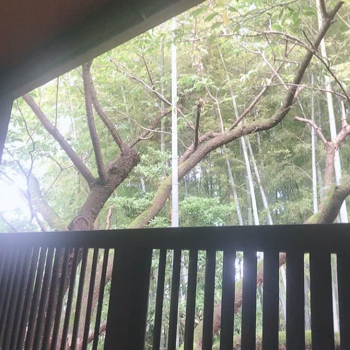 京極 琉のグルメインスタ