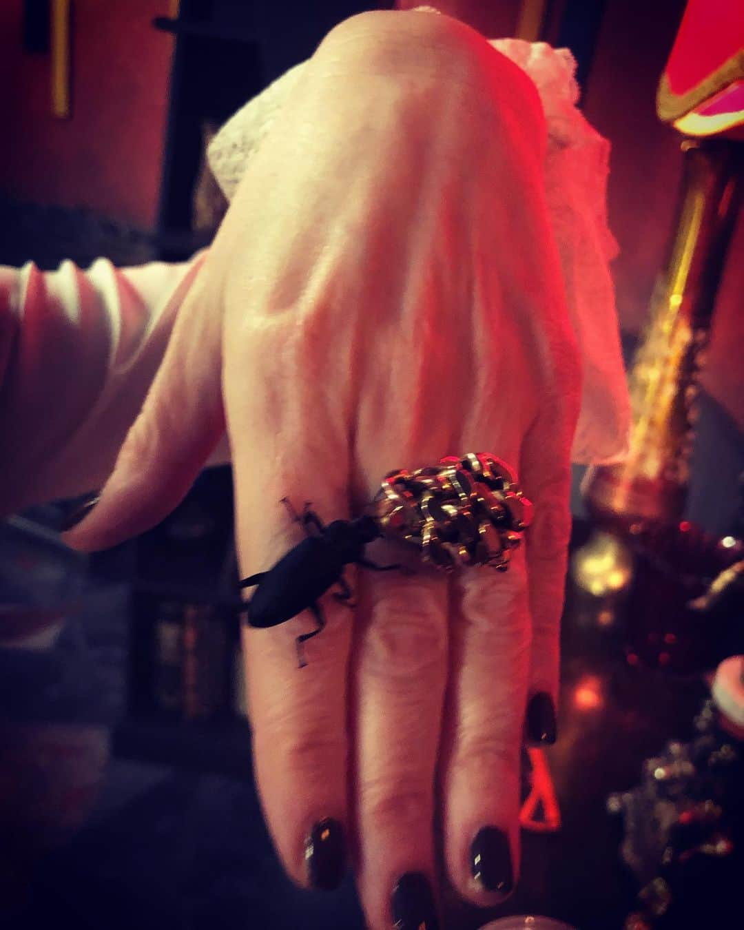 ミランダ・オットーさんのインスタグラム写真 - (ミランダ・オットーInstagram)「Unusual new jewel. 👀 🐜 🖤😂🙏 #newjewels #newfriends #whenyourjewelsmatchyournails」9月18日 9時37分 - miranda.otto