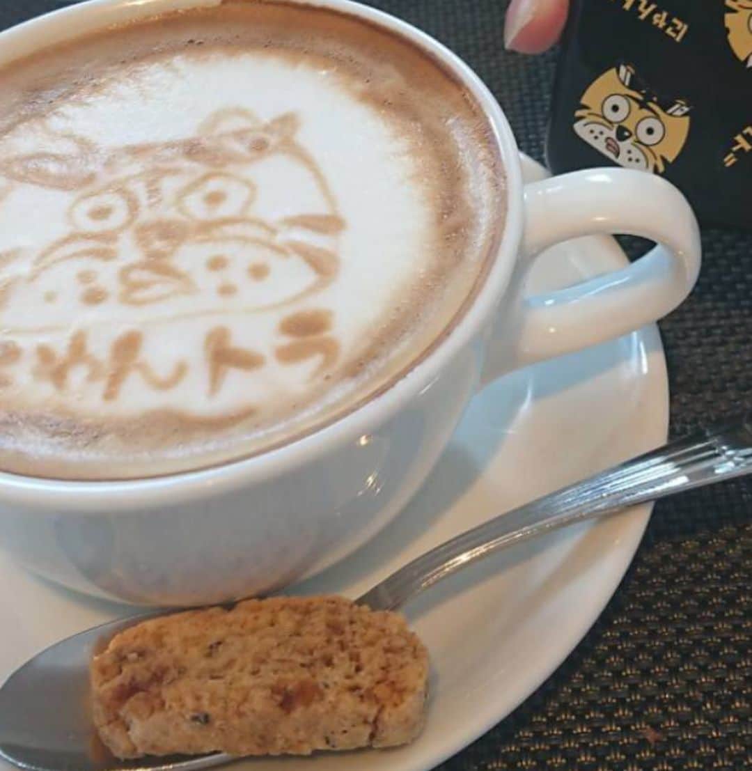 水谷千重子さんのインスタグラム写真 - (水谷千重子Instagram)「おはようございました☀️ 大阪にある レストランノガラッツァさんに行ったら最後にこんな可愛いいにゃんトラちゃんのカプチーノがでてきたの👏👏 粋なはからい感謝です🙇‍♀️🙇‍♀️ 美味しかったわ❤️ また伺いますね☕️」9月18日 10時32分 - mizutanichieko