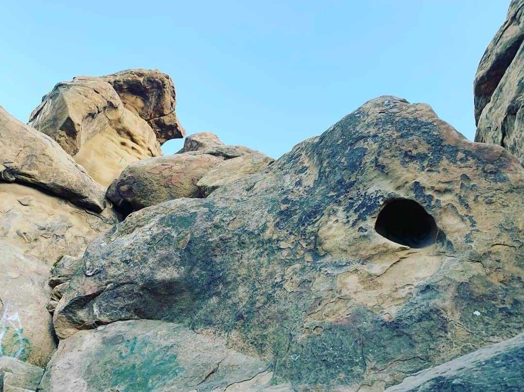 ボニー・モーガンのインスタグラム：「Challenge Accepted!! Top rope Tuesday Rock climbing with the boys... I’m a Rock Badger now!! #adventuresofbendybonnie #topropetuesday #rockclimbing #contortionmischief #challengeaccepted #shenanigans #stonypoint #bendybonnie」
