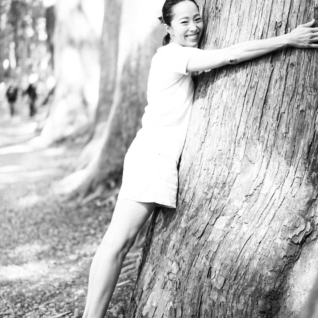 山城葉子さんのインスタグラム写真 - (山城葉子Instagram)「. 戸隠神社の入口から奥社までの山道に続く樹齢400年の杉の木の並木。 幹が空に向かって凛と真っ直ぐ生えてる姿がとても美しく潔さに感動します。 空気が澄んでいて清々しく、美しい一本道がずっと続いていて本当に幻想的で素敵でした。 行く価値ありです！ 新しいチャレンジに向けて沢山のパワーをもらってきました。」9月18日 12時40分 - yokoyamashiro