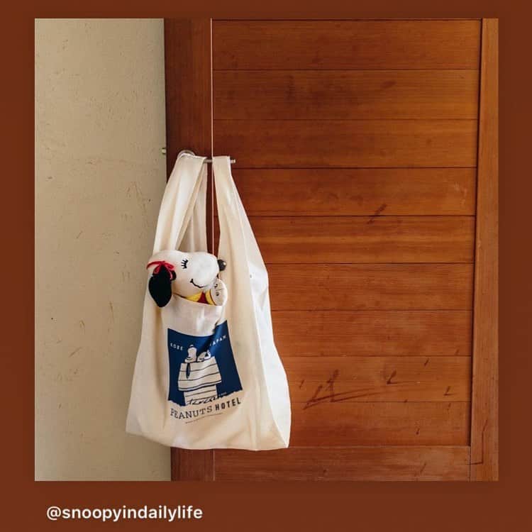 ピーナッツ カフェのグルメインスタ