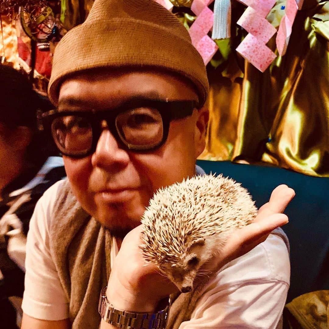 田中知之さんのインスタグラム写真 - (田中知之Instagram)「新宿・歌舞伎町のカオスなバーで愉快な面々と共にハリネズミに癒される夜🦔🦔🦔🦔」9月18日 13時04分 - tomoyukitanaka