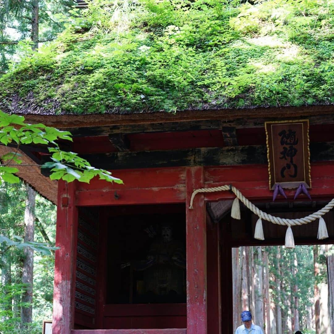 山城葉子さんのインスタグラム写真 - (山城葉子Instagram)「. 戸隠神社 約500メートル続く樹齢400年を数えるの並木道は天然記念物だそう。  子供たち皆んなと青空の中、神秘的なパワースポットに来れて本当良かったです  真ん中は神様が通る道だから歩いてはいけないそうで、、、 誰かが少しでも真ん中を歩くと→ウタちゃんがつかさず注意😂 常にルールに厳しいウタちゃんです…」9月18日 13時23分 - yokoyamashiro