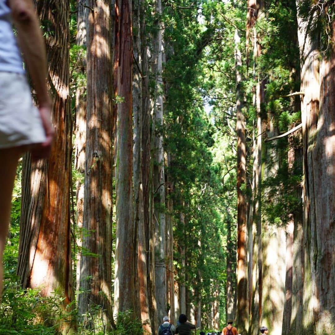 山城葉子さんのインスタグラム写真 - (山城葉子Instagram)「. 戸隠神社 約500メートル続く樹齢400年を数えるの並木道は天然記念物だそう。  子供たち皆んなと青空の中、神秘的なパワースポットに来れて本当良かったです  真ん中は神様が通る道だから歩いてはいけないそうで、、、 誰かが少しでも真ん中を歩くと→ウタちゃんがつかさず注意😂 常にルールに厳しいウタちゃんです…」9月18日 13時23分 - yokoyamashiro