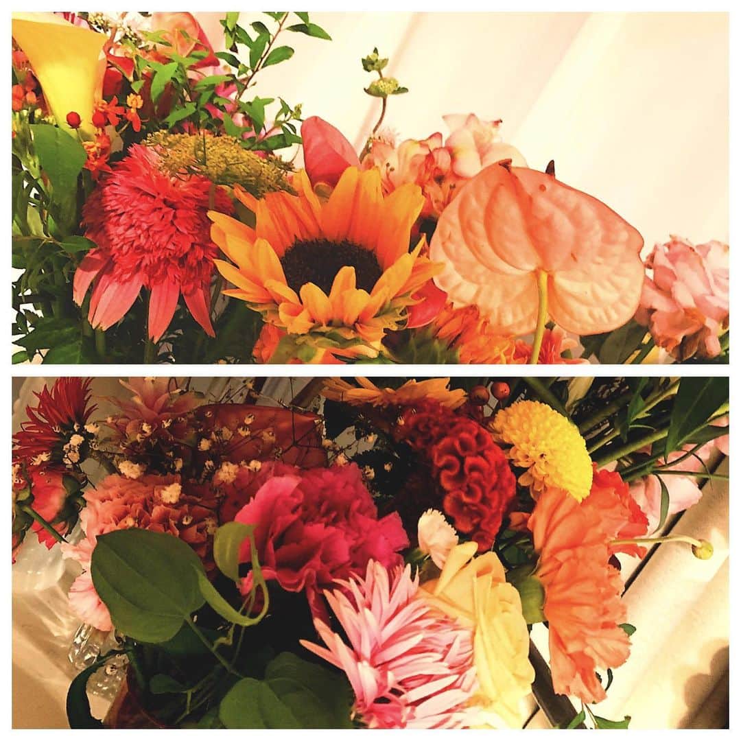山口乃々華さんのインスタグラム写真 - (山口乃々華Instagram)「ヘブンズレコード 先日、東京千秋楽でした。 神戸公演へと続きます！ 引き続き頑張ります。  みにきてくださった皆さんありがとうございました。 たくさんのお花をいただいて、うれしかったです😊 花瓶にさして、飾っております。 #ヘブンズレコード」9月18日 15時16分 - yamaguchi_nonoka_official