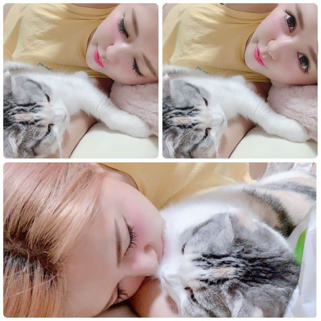 河西里音さんのインスタグラム写真 - (河西里音Instagram)「ぐんにゃ～い🌙*ﾟ ♡ ♡ ♡ ♡ ♡ #愛猫 #スコテッシュフォールド #添い寝 #lovefamily #cat #love #goodnight」9月19日 3時07分 - rion_kasai