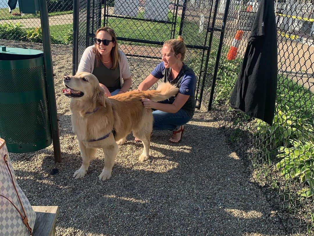 モヒートさんのインスタグラム写真 - (モヒートInstagram)「I had SO MUCH FUN yesterday hanging out with new friends around Cleveland! I got so many pets. @thisiscle #thisiscle @thirstydogeastbank @dtcledogpark ------------------------------- #goldensofig #goldenretriever  #goldenretrieversofinstagram #betterwithpets #dogsofig  #dogsofinstagram #fluffypack #gloriousgoldens #welovegoldens #ilovemydog #goldenlife #bestwoof #ProPlanDog #ilovegolden_retrievers #mydogiscutest #retrieversgram #dogsofcle」9月19日 2時40分 - mojito_rose_family