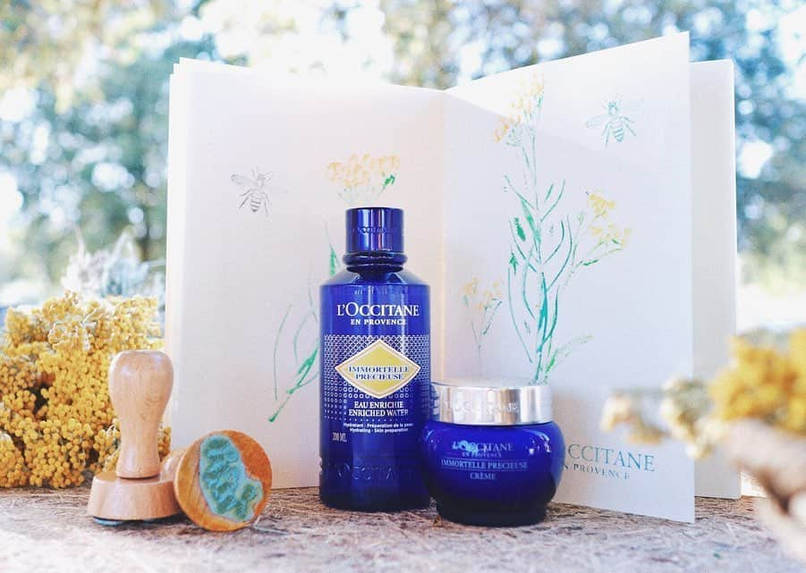 L'OCCITANE en Provenceのインスタグラム