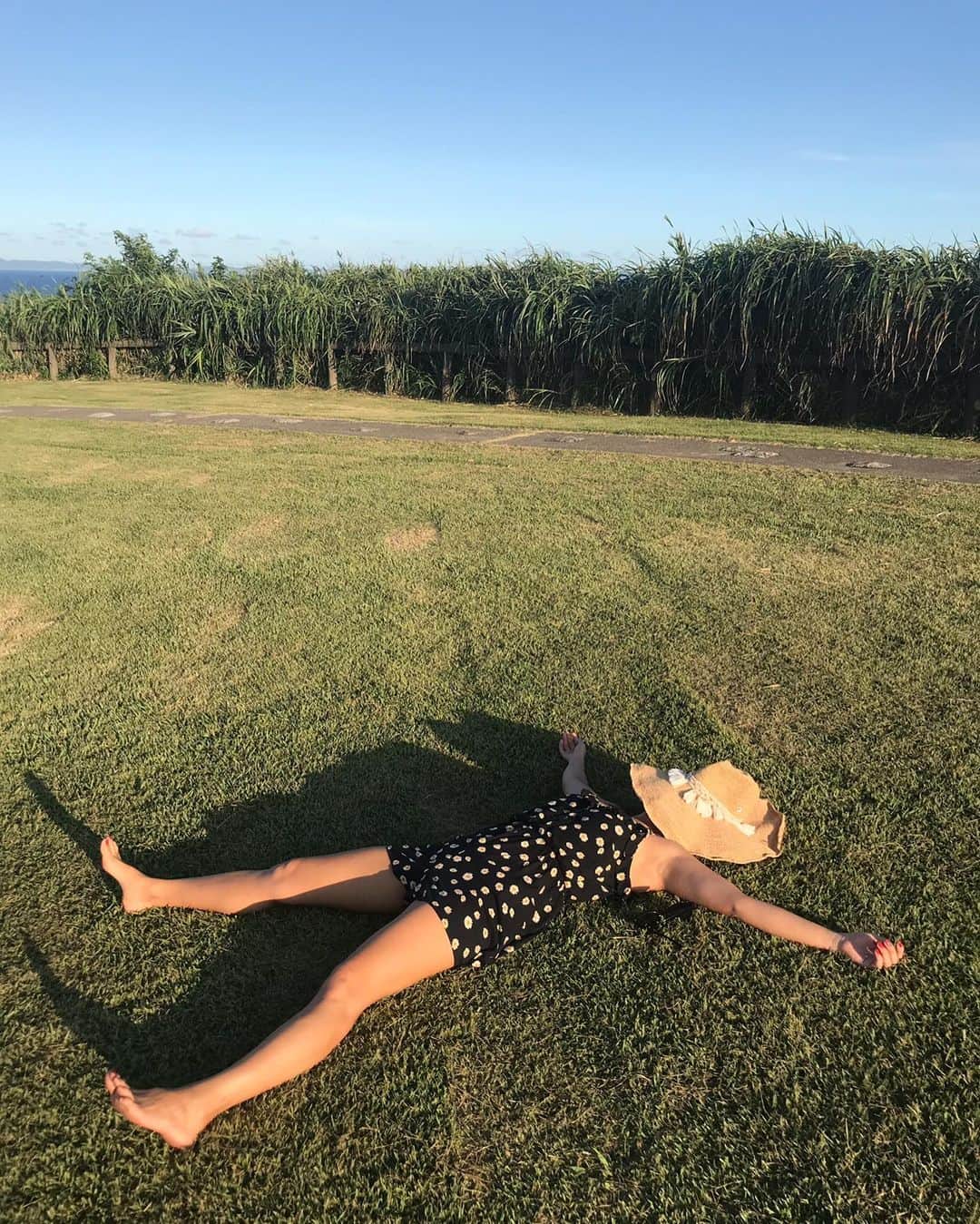 mimimimiyoのインスタグラム：「夏の思い出 芝生に大の字〜 芝生って結構チクチクしてちょっといたかった  2枚目はめちゃお天気の日でごきげんになっとるー☀️ ・ ・ ・ #2019わたしの夏」