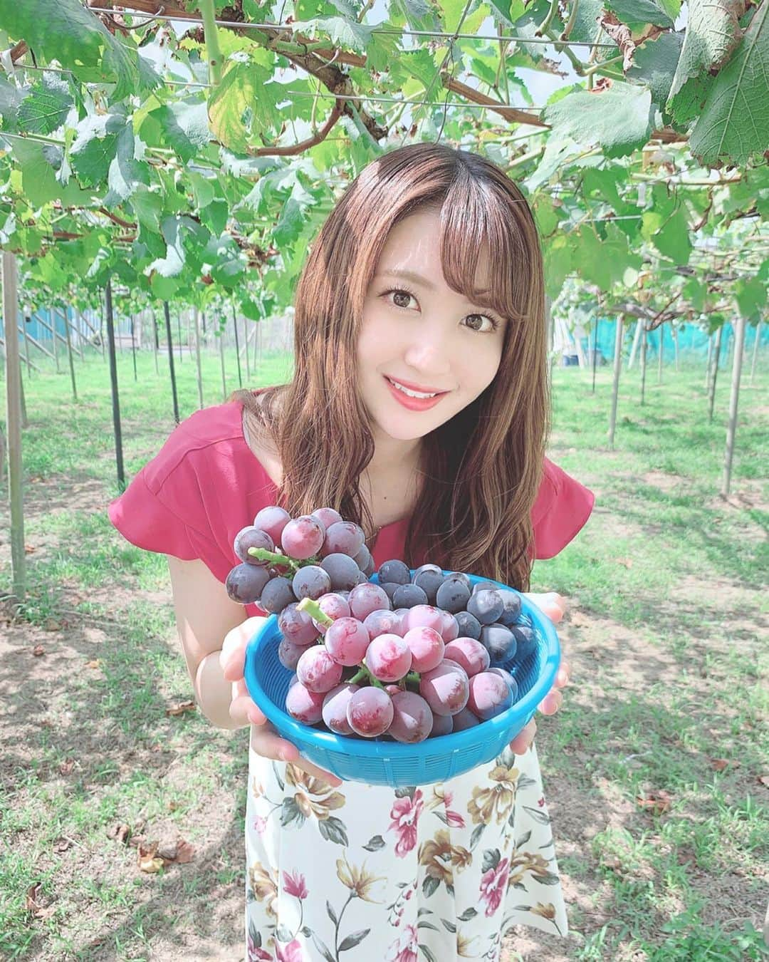 沢井里奈さんのインスタグラム写真 - (沢井里奈Instagram)「♡ . たくさん採れた🍇✨ . 一気に食べれないので 大半は冷凍して保存してます☺️💓💓 凍らしても美味しい🥺❤️ . #grape #ootd #coordinate #fashion #instafashion #instagood #instagramjapan #japanesegirl #girls #팔로우 #코디 #오오티디 #ぶどう狩り #ぶどう #ぶどう園 #大府 #私服 #さわーおでかけ #沢井里奈」9月18日 19時30分 - sawairina