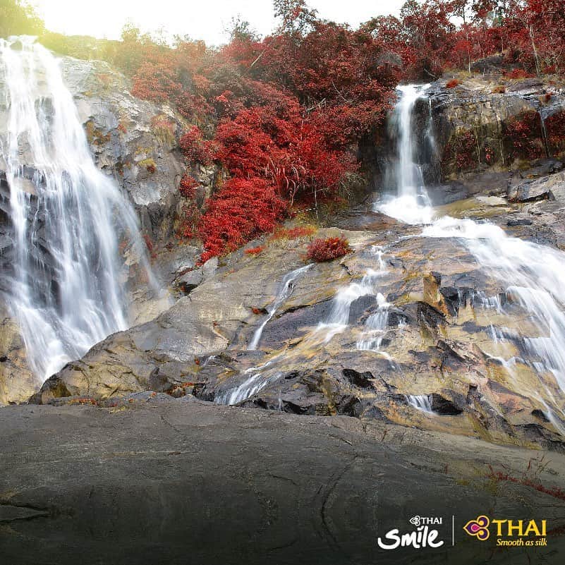 のインスタグラム：「Tone Nga Chang Waterfall in Tone Nga Chang Wildlife Sanctuary is a popular tourist spot in Hat Yai, southern Thailand, due to its easy accessibility and cool, clean, and clear fresh water flowing through the waterfall all year, making it an ideal place for swimming in nature. . #ThaiAirways #ToneNgaChang #Waterfall #HatYai #Songkhla #Thailand #AmazingThailand」