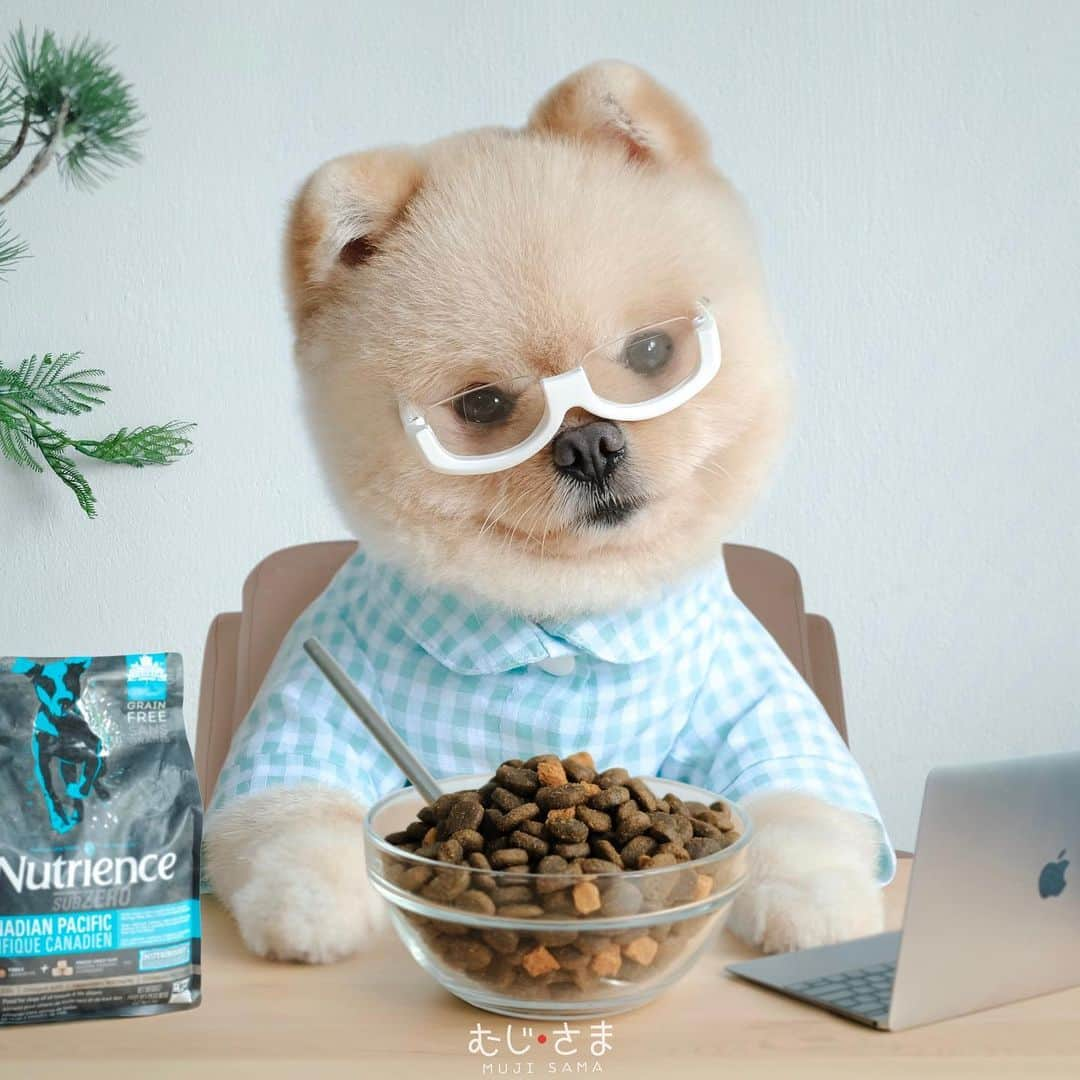 むじさまさんのインスタグラム写真 - (むじさまInstagram)「Work Hard📘. Eat Harder🍲  #nutrience #mujisama」9月18日 20時31分 - mujisama