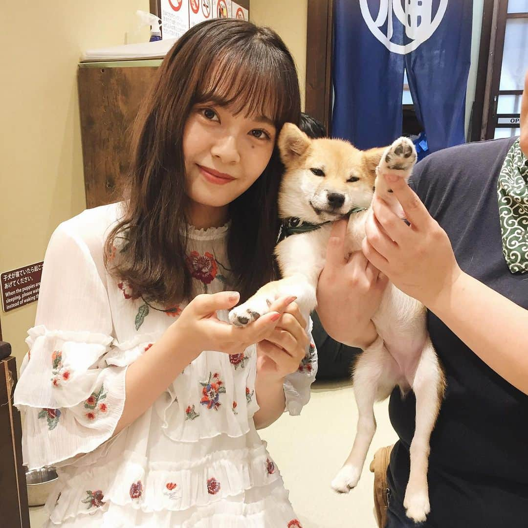 湯本亜美さんのインスタグラム写真 - (湯本亜美Instagram)「ㅤㅤㅤ 豆柴カフェへ ... 🐕💭 みんな気分屋さんで可愛くて癒された〜 この子は生後4ヶ月のマメちゃん❤︎ #浅草#豆柴#豆柴カフェ#カフェ巡り」9月18日 20時55分 - amiyumoto_official