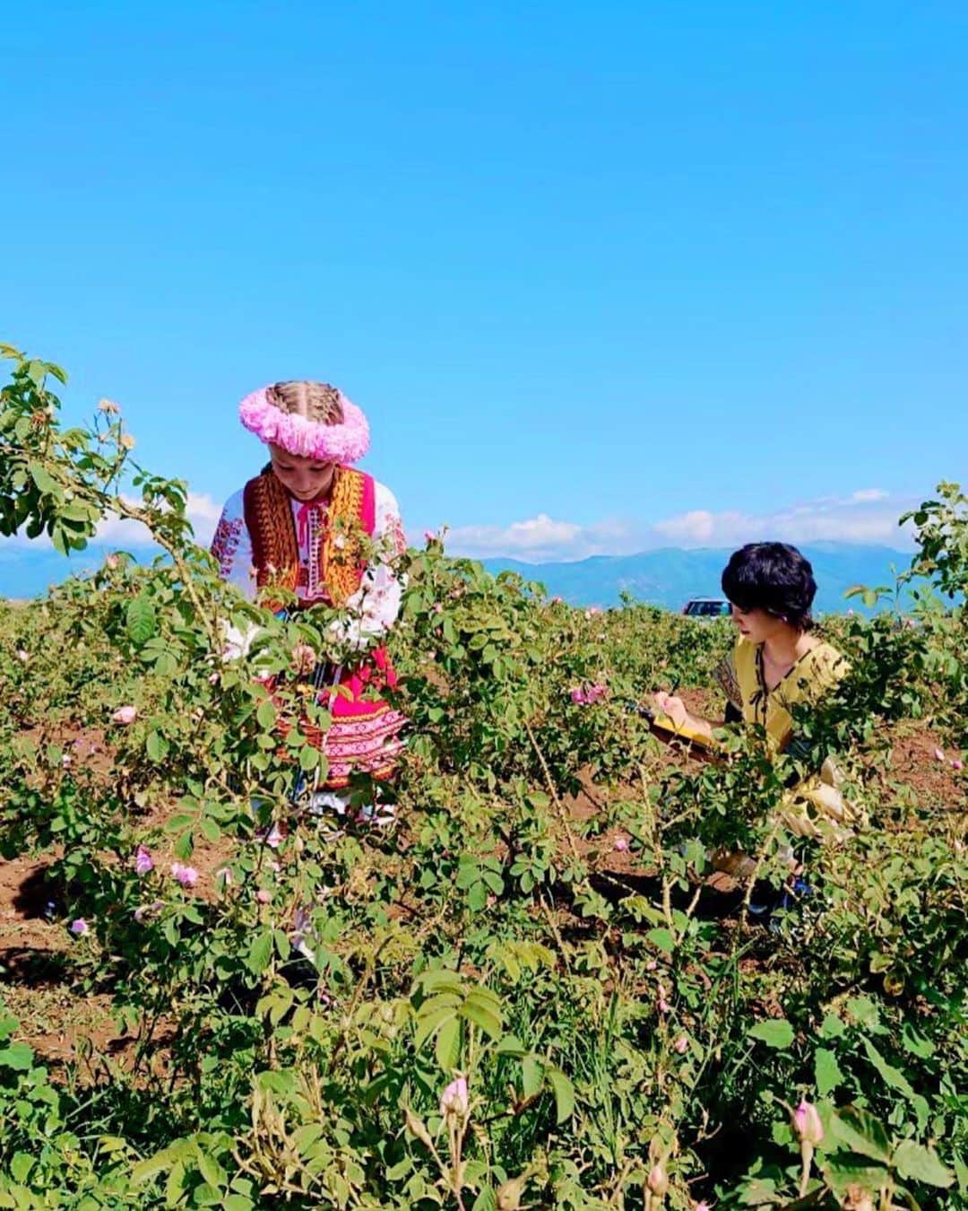 朝日放送「朝だ！生です旅サラダ」さんのインスタグラム写真 - (朝日放送「朝だ！生です旅サラダ」Instagram)「@e_n_n_a_ #バラ収穫祭 で出会った女の子、ファニちゃん👧🌹 バラを収穫する姿がとても美しく、#一目惚れ ‥❤︎ 声を掛けて、描かせてもらうことに！✍🏻🎨 #ダマスクローズ のいい香りに包まれながらのスケッチ。 ブルガリアで年一度の大切な日に、絵になる風景と、絵になる女の子‥！描くことができて、とっても嬉しかったです🥰 _ #バラの香りに包まれて #絵になる風景 #絵になる女の子 #スケッチ #バラ畑 #バラの髪飾り #バラの谷 #ДОЛИНАТА НА РОЗИ #ТРЯВНА #ブルガリア #Bulgaria _ #ABCテレビ #朝日放送テレビ #朝だ生です旅サラダ #旅サラダ #旅サラダガールズ #山代エンナ #イラストレーター #海外 #旅 #travel #trip」9月18日 21時14分 - tabisalad
