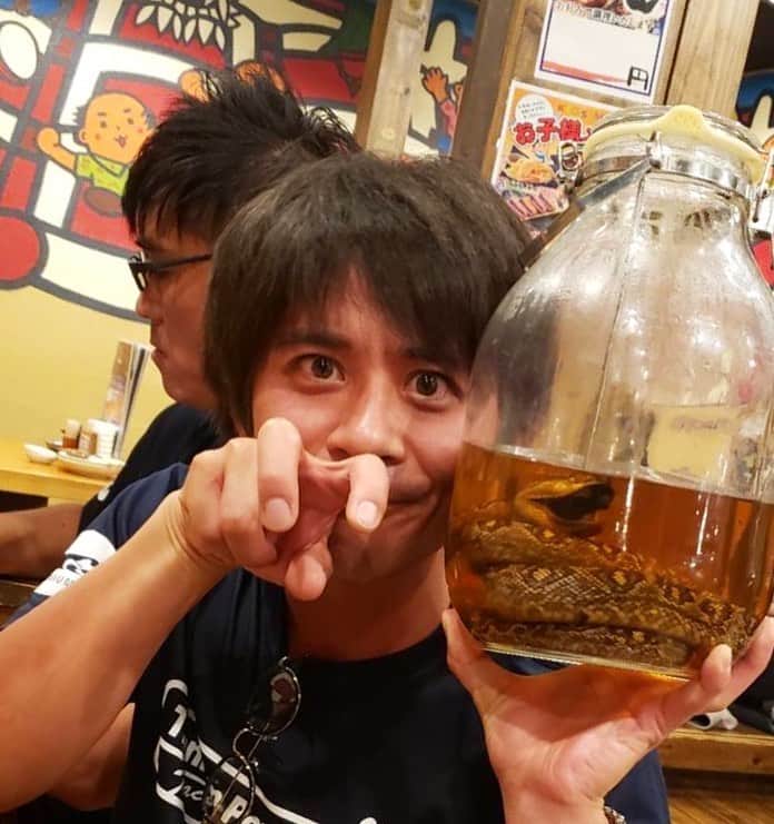 斉藤祥太のインスタグラム：「初体験のハブ酒🐍 臭いも独特。 ヒーハー🤩 #ハブ酒 #ヒーハー #次はマムシ酒」