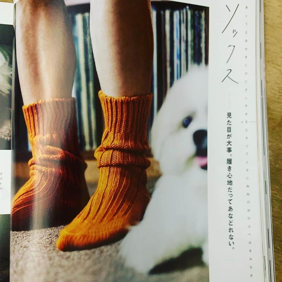 西田善太さんのインスタグラム写真 - (西田善太Instagram)「【秋冬ファッション号★発売中】レイアウト楽しく作りました。 #BRUTUS #ファッション」9月18日 22時28分 - zentanishida