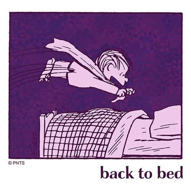 スヌーピーさんのインスタグラム写真 - (スヌーピーInstagram)「#tfw you get to go back to bed.」9月18日 22時47分 - snoopygrams