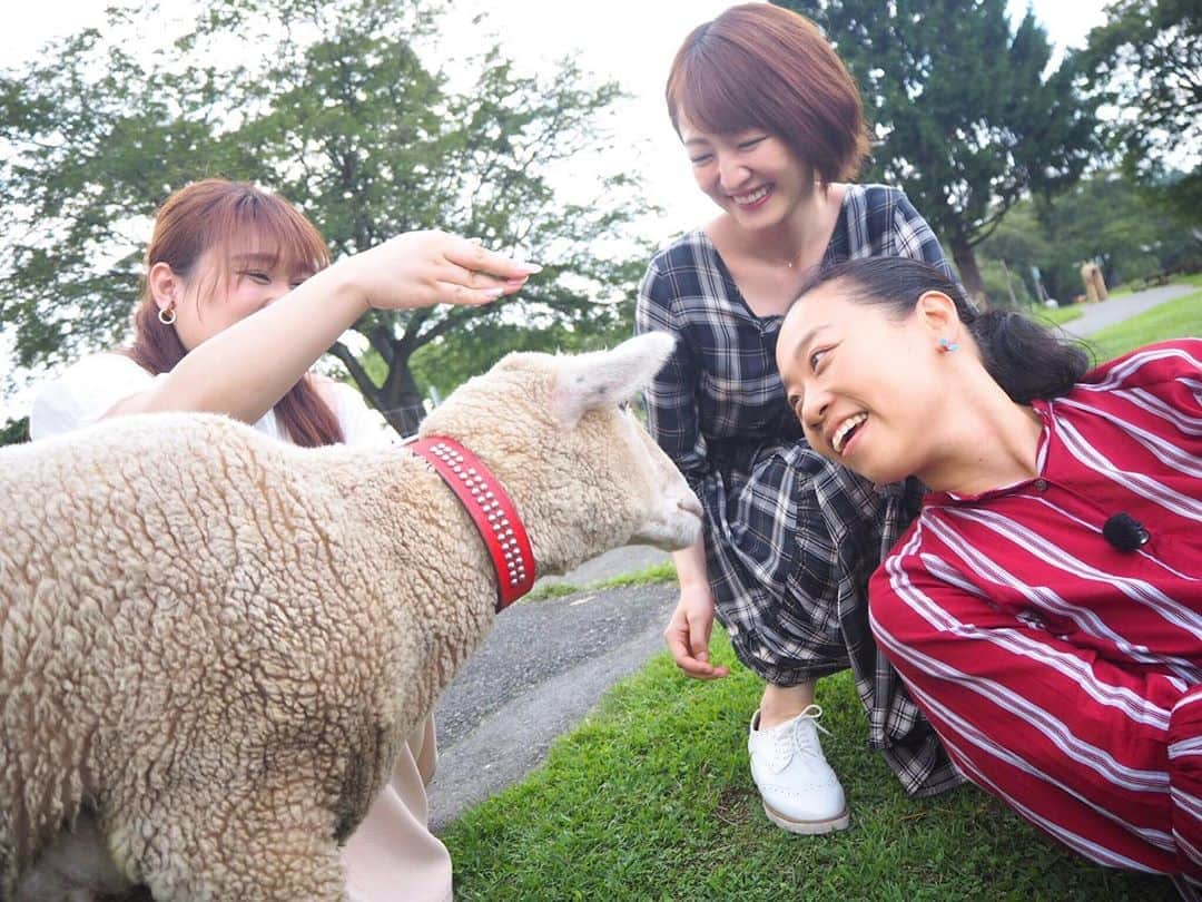 佐藤栞里さんのインスタグラム写真 - (佐藤栞里Instagram)「. 今週の火曜ヒルナンデス！より 初めての企画！出たとこドライブ🚗✨ ついつい"お母さん"と呼んでしまうあさこさんと すっかり娘気分の私たちで 女子旅ドライブをしてきました！ (気持ち的には家族旅行) お腹すいた？お水足りてる？ ブレーキを踏む時はごめんねと一言😢 娘たちへの優しさが溢れているあさこさん☘️ ゆるりと可愛らしい雰囲気で和ませてくれながら 突然のものまねで笑わせてくれるりんごちゃん🍎 頑張り屋さんで一生懸命だけれど やっぱりどこかおっちょこちょいな愛され滝ちゃん🌽 そんな愉快なメンバーとのドライブ旅 来月の後編もお楽しみに、、🌼 #渡部さんが大好きなあさこさんの入浴ショット #拝めるかもしれません🙏🏻✨ #草津はいいよなあ♨️」9月18日 23時00分 - satoshiori727