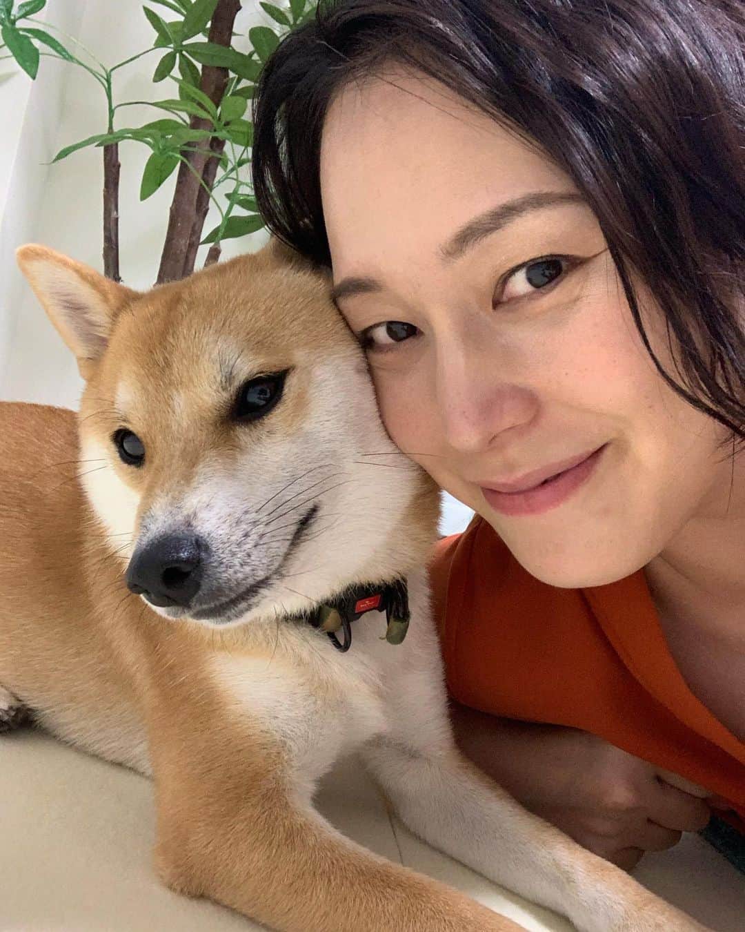 のインスタグラム：「. . 今日はふたりとも帰宅が遅くなるので はじめてペットシッターさんに だいずのお世話をお願いしました。 . . 少し不安でしたが カメラで見た時もレポート読んでも すごく丁寧にお世話をして くださったのが伝わってきて ほっとしました。。。 . . だいずくんは緊張もあってか お散歩のときは別犬に なっていたようですが…笑。 . .  なかなか帰ってこなくて 不安だったり 長いお留守番で寂しかったからか わたしが帰宅したときは ぎゃーぎゃー叫びまくってました笑 （2枚目参照 ※音量注意） . . だいずくんがんばりました‼︎ . ワールドカップ中はこんな日が まだ数日あります。 . だいずくんごめんね😭 お留守番がんばろうね😭😭 . . #だいず #だいず🐕💓 #豆柴 #豆柴部  #柴犬 #しばいぬ  #犬のいる暮らし#🐶 #🐕#いぬすたぐらむ #ワンスタグラム #しばすたぐらむ #mameshiba#shibainu#shibastagram #柴犬好きさんと繋がりたい #柴犬のいる暮らし #柴犬ライフ #ペットシッター #greenmom」