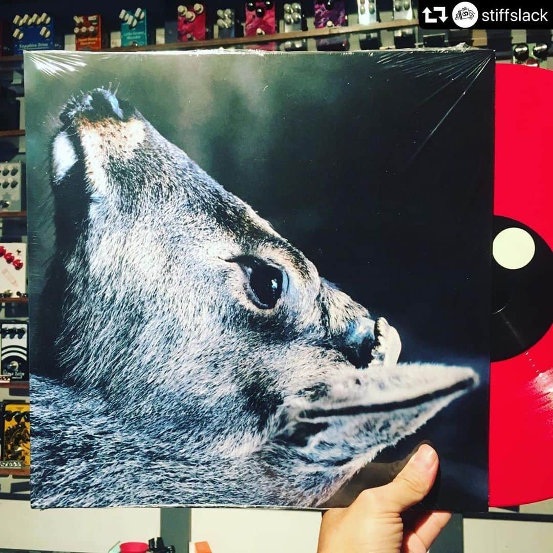 山嵜廣和のインスタグラム：「いつもありがとうございます！ 精進します！ぐぐぐぐ！ #repost @stiffslack ・・・ toe / The Book About My Idle Plot Ona Vague Anxiety (VINYL) 6TH PRESS / LIMITED 1000 / OPAQUE BURGUNDY VINYL 遂に6プレスにまで突入したtoe / The Book...のTOPSHELFヴァイナル、毎回カラーリング変えてファンはドギマギしています。今回の再発まで3年掛かってるので欲しい人は即入手で。 昨今のアコースティックアプローチはせず4ピースアンサンブルをストイックにひらすら精度を上げた快作。海外リリースが当時無かったのに海外での評価も凄い作品ですね。toeのフォロワーというのは多分とんでもなく多いと思うのですが、結局本家を越えられない佇まいはtoeだけのもの。このアルバムは本当にオリジナルに満ち溢れています。間違いなく名盤、今でも全く色褪せない。」