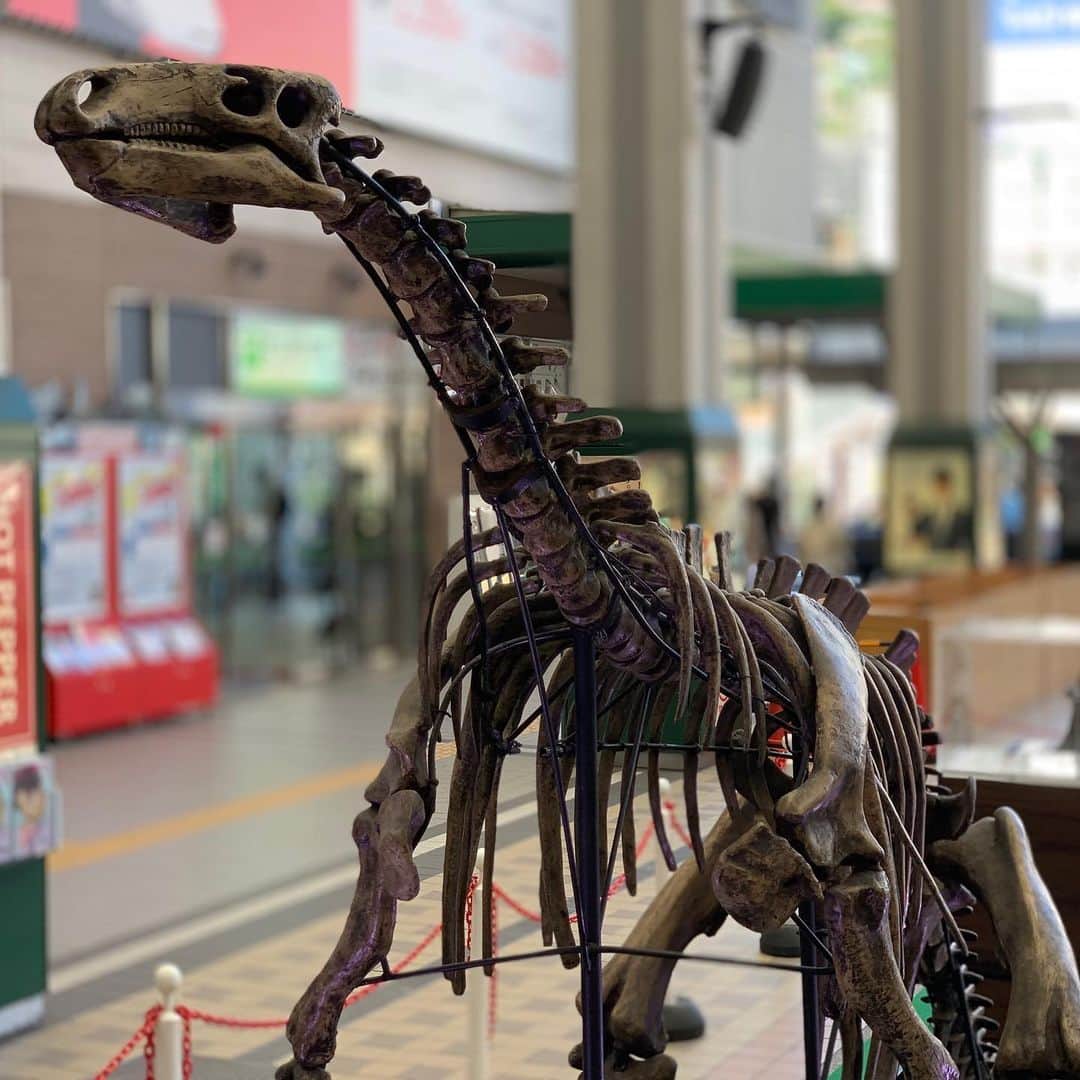 佐藤綾子さんのインスタグラム写真 - (佐藤綾子Instagram)「🦖gyaooooooo🦕﻿ ﻿ ﻿ きょうはお休みだったので宮﨑アナと恐竜ざんまい🙌﻿ ﻿ #アミュプラザ長崎 の #ながさき恐竜ミュージアム ！﻿ 福井の #恐竜博物館 からたくさんのグッズがお越しですよ！﻿ 恐竜好きの私と宮﨑アナ歓喜( ◜◒◝ )♡﻿ イヤリングとかTシャツとか大人カワイイグッズもたくさんありましたよ！買った！！﻿ ﻿ アロサウルスもかっこいいけど私はステゴサウルスに乗りたい﻿ ﻿ #恐竜 #dinosaur #かもめ広場﻿ #ncc #長崎文化放送 #長崎 #アナウンサー #宮崎真実 #宮﨑真実 #佐藤綾子﻿ #きょうからイベント走ります」9月18日 23時26分 - satoaya_ncc