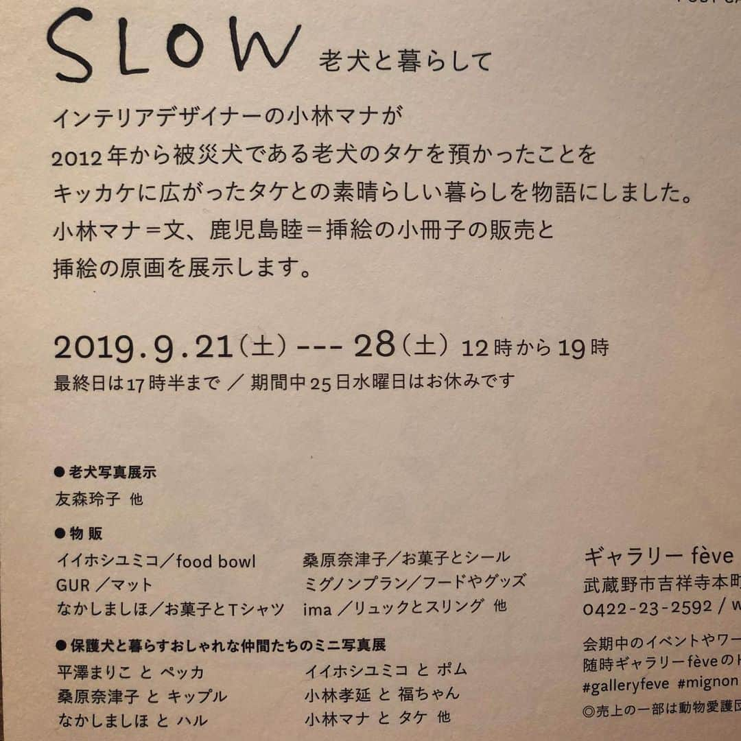 パンといっぴきさんのインスタグラム写真 - (パンといっぴきInstagram)「【お知らせ】9月21〜28日 吉祥寺・ギャラリー フェブで開催の『SLOW 老犬と暮らして』に参加します。『SLOW』は、老犬の預かりボランティアをされている インテリアデザイナーの小林マナさんが文、鹿児島睦さんが挿絵を担当された小冊子。その販売と原画の展示がメインですが、なかしましほさんのおやつや イイホシユミコさんのフードボウルの販売、保護犬と暮らす仲間たちのミニ写真展などなど盛りだくさん。私は シールとzine 、お菓子を持って行きます。ぜひ〜。」9月18日 23時43分 - kwhr725