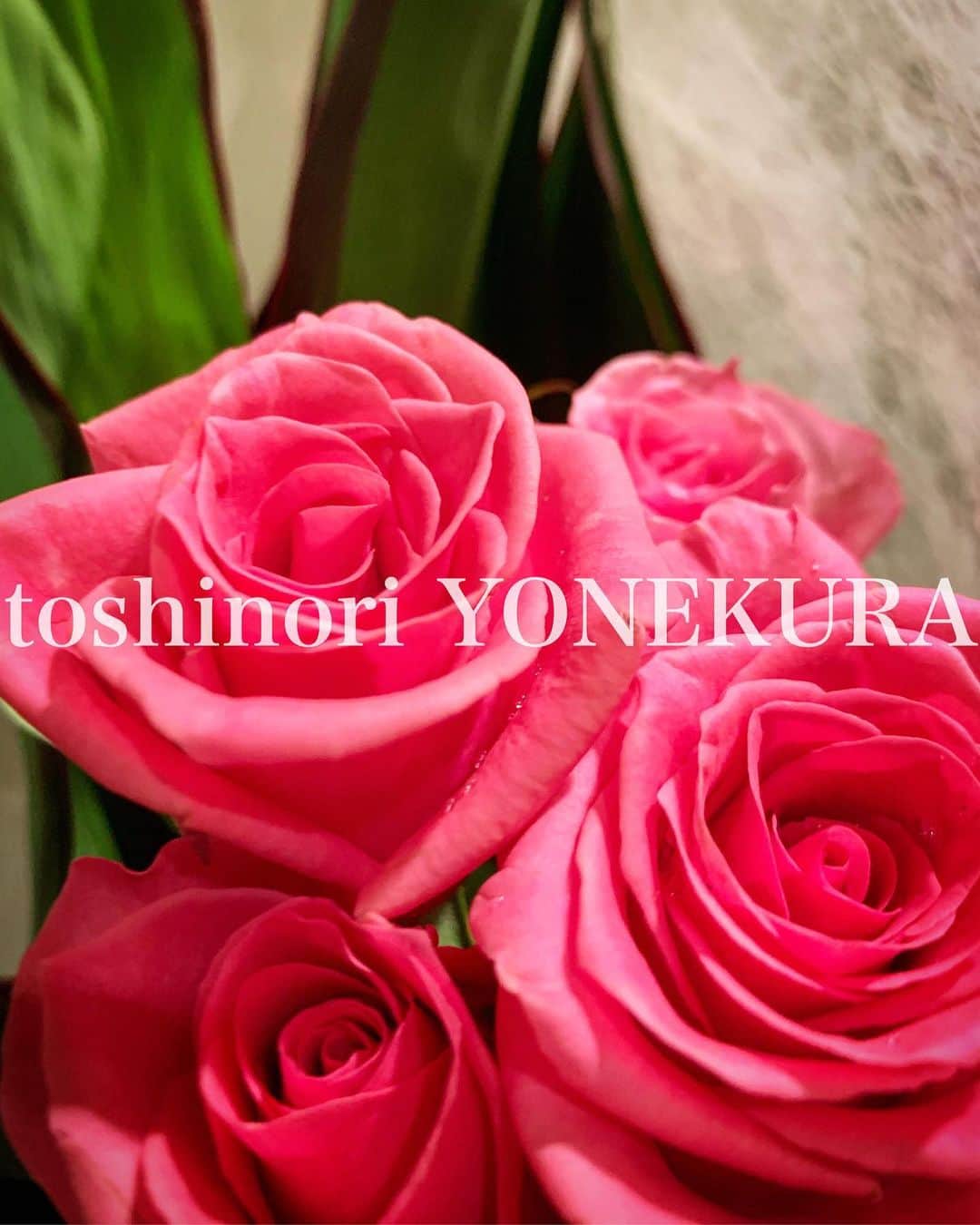 米倉利紀さんのインスタグラム写真 - (米倉利紀Instagram)「flowers of this week #thankyou」9月18日 23時48分 - toshi_yonekura