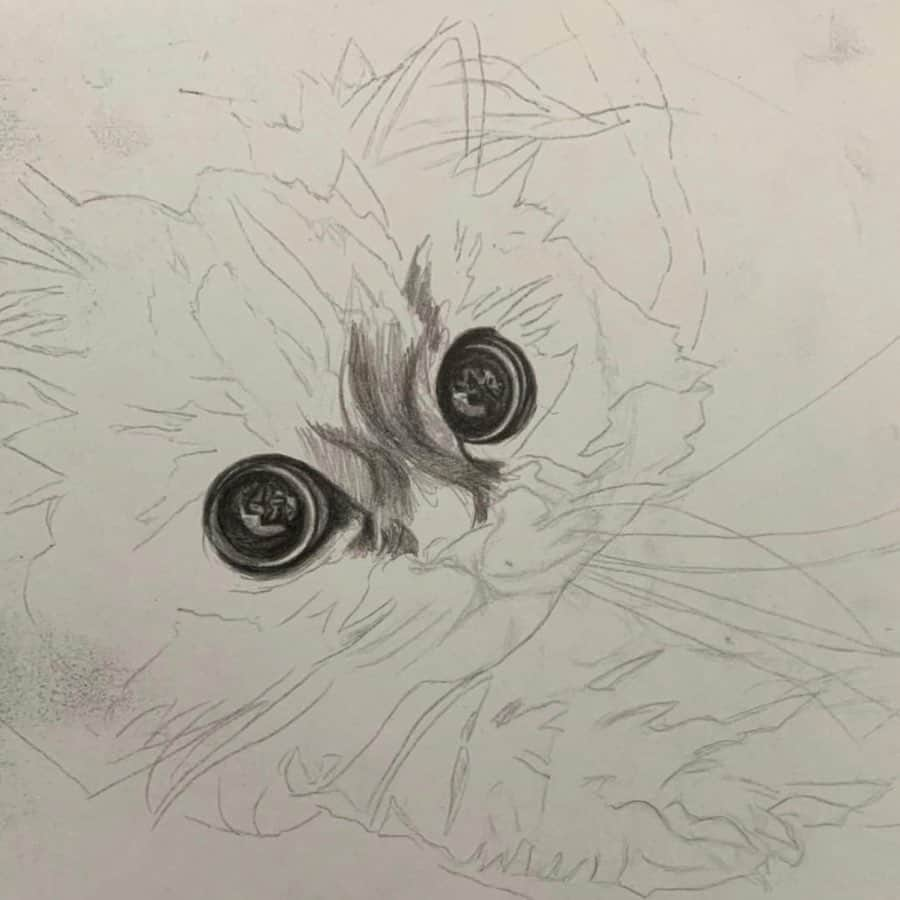 にこさんのインスタグラム写真 - (にこInstagram)「Awesome📝🐈✨ Thanks @masashi7599  #cat #cats #art #drawing  #amazingdrawings #fluffy #thoseeyes #bigeyes #猫 #ねこ #リアル #立体的 #鉛筆画 #鉛筆画イラスト」9月18日 23時50分 - nikon.neko.official