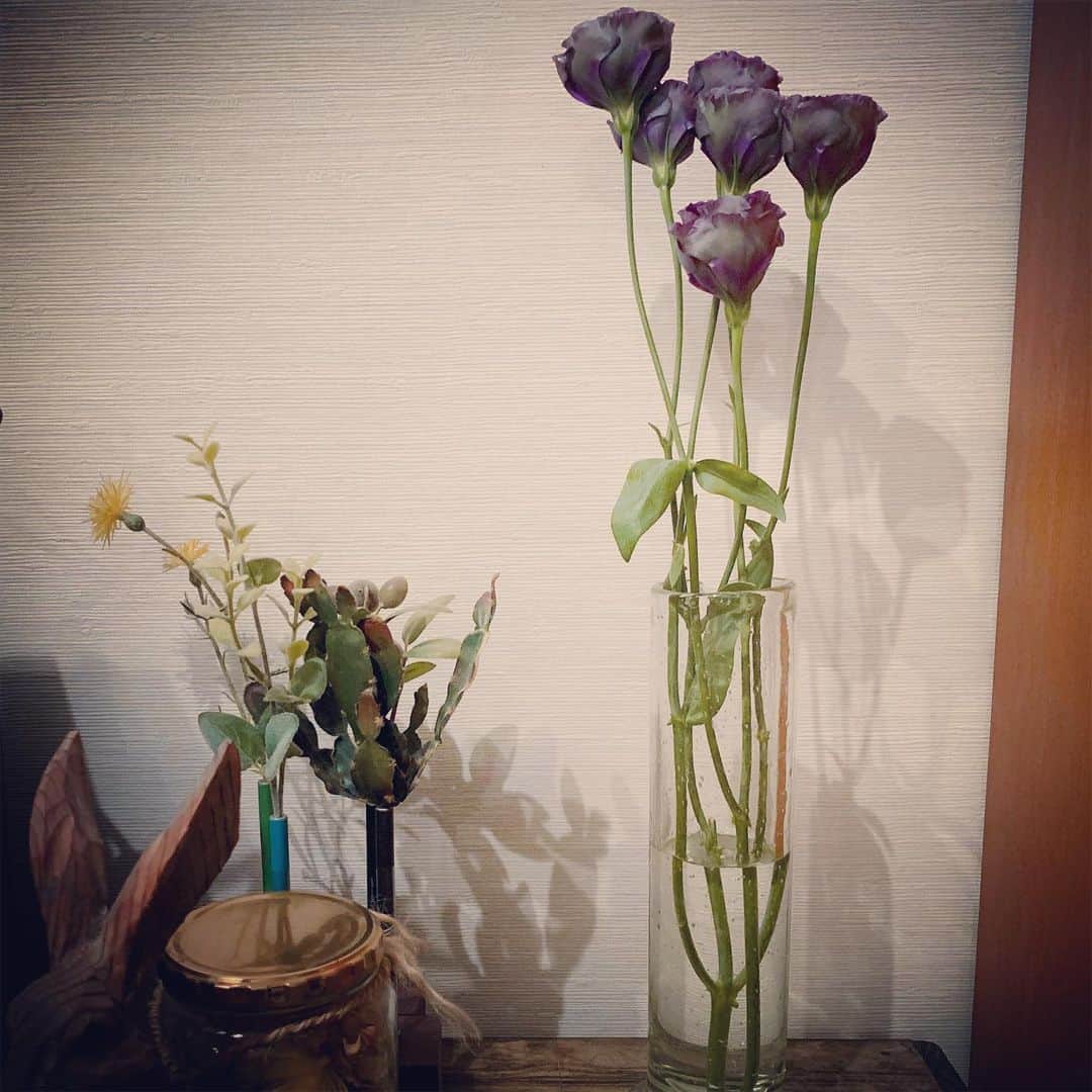 上野樹里さんのインスタグラム写真 - (上野樹里Instagram)「今日は色んなお花に出会い、家に来てもらいました💐 一番お気に入りは薄紫のバラかなぁ😌 お花って本当に素敵だね。 次はお花屋さんでスワッグ作ってみよう。 おやすみなさい💤🌙 #お花のある暮らし」9月19日 0時15分 - _juri_art_