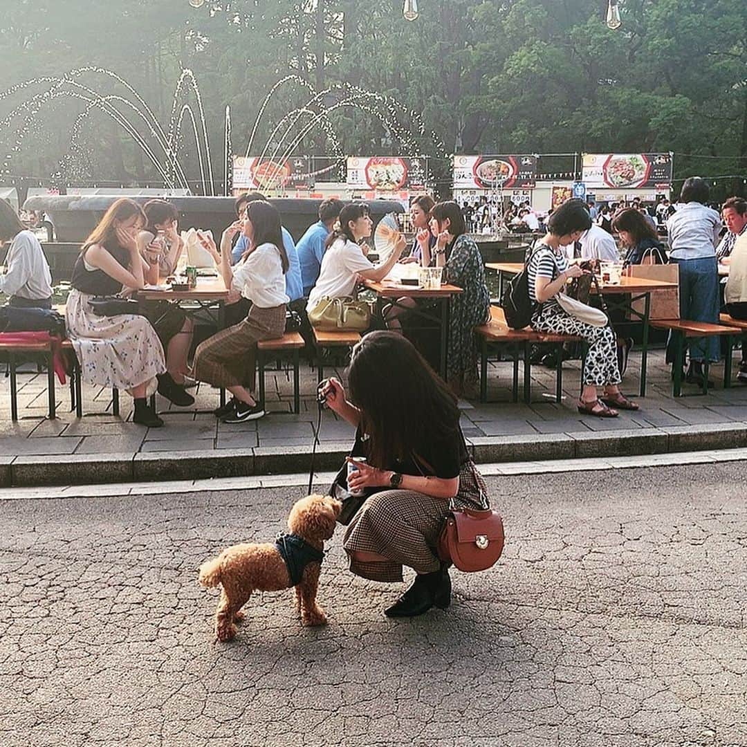 日下裕江さんのインスタグラム写真 - (日下裕江Instagram)「お手🐾💓 かわゆすぎる♡  おやつを見せてる事は 内緒🤫w  #お手 #愛犬 #toypoodle #dogstagram #トイプードル #いぬすたぐらむ #ロルスタグラム #dog」9月19日 1時09分 - hiroe___h