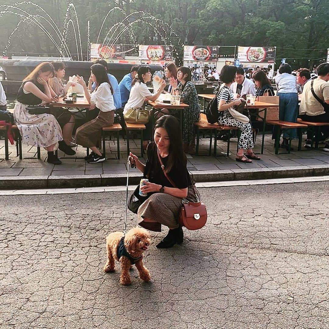 日下裕江さんのインスタグラム写真 - (日下裕江Instagram)「お手🐾💓 かわゆすぎる♡  おやつを見せてる事は 内緒🤫w  #お手 #愛犬 #toypoodle #dogstagram #トイプードル #いぬすたぐらむ #ロルスタグラム #dog」9月19日 1時09分 - hiroe___h