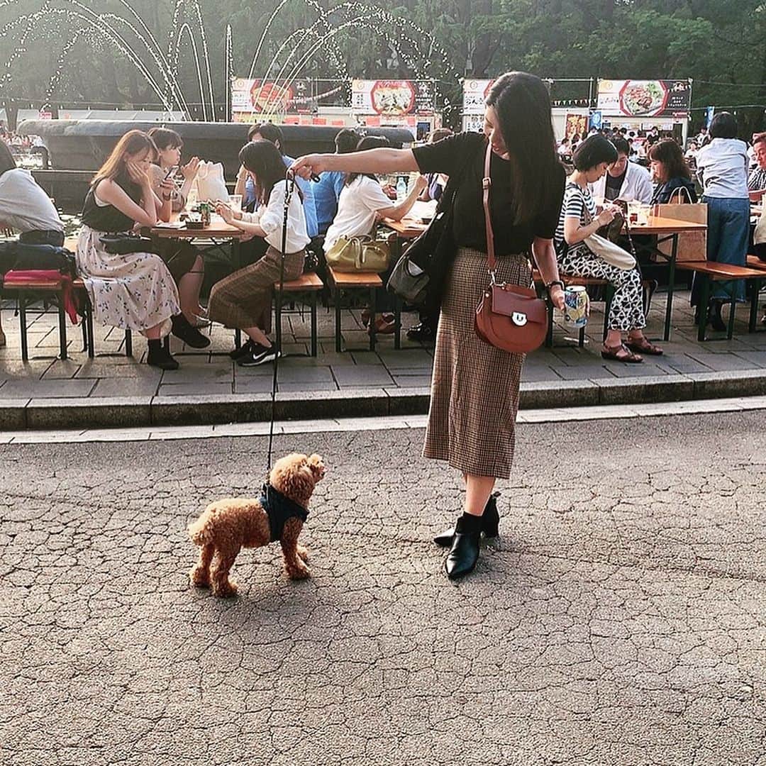 日下裕江さんのインスタグラム写真 - (日下裕江Instagram)「お手🐾💓 かわゆすぎる♡  おやつを見せてる事は 内緒🤫w  #お手 #愛犬 #toypoodle #dogstagram #トイプードル #いぬすたぐらむ #ロルスタグラム #dog」9月19日 1時09分 - hiroe___h