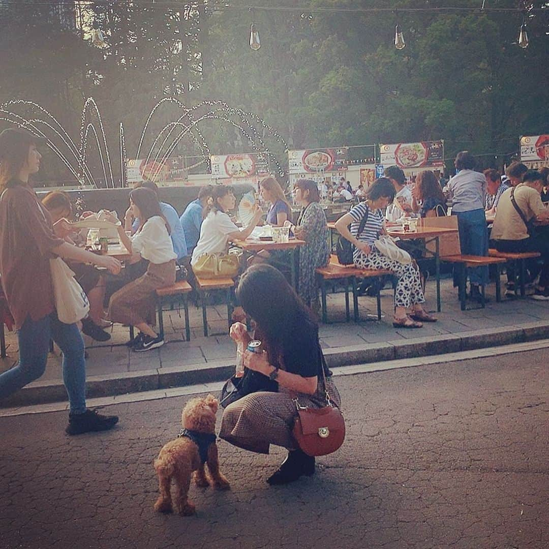 日下裕江さんのインスタグラム写真 - (日下裕江Instagram)「お手🐾💓 かわゆすぎる♡  おやつを見せてる事は 内緒🤫w  #お手 #愛犬 #toypoodle #dogstagram #トイプードル #いぬすたぐらむ #ロルスタグラム #dog」9月19日 1時09分 - hiroe___h