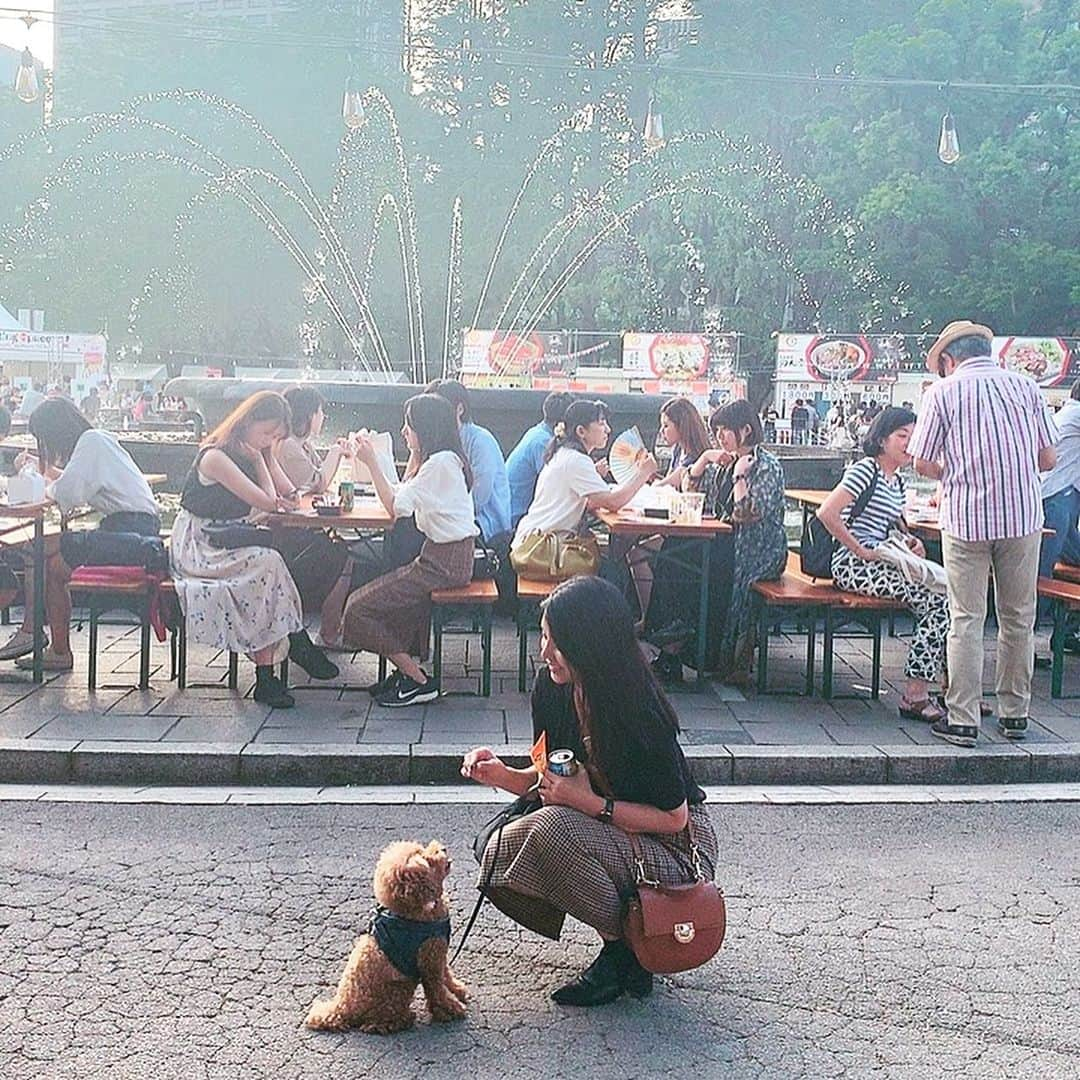 日下裕江さんのインスタグラム写真 - (日下裕江Instagram)「お手🐾💓 かわゆすぎる♡  おやつを見せてる事は 内緒🤫w  #お手 #愛犬 #toypoodle #dogstagram #トイプードル #いぬすたぐらむ #ロルスタグラム #dog」9月19日 1時09分 - hiroe___h