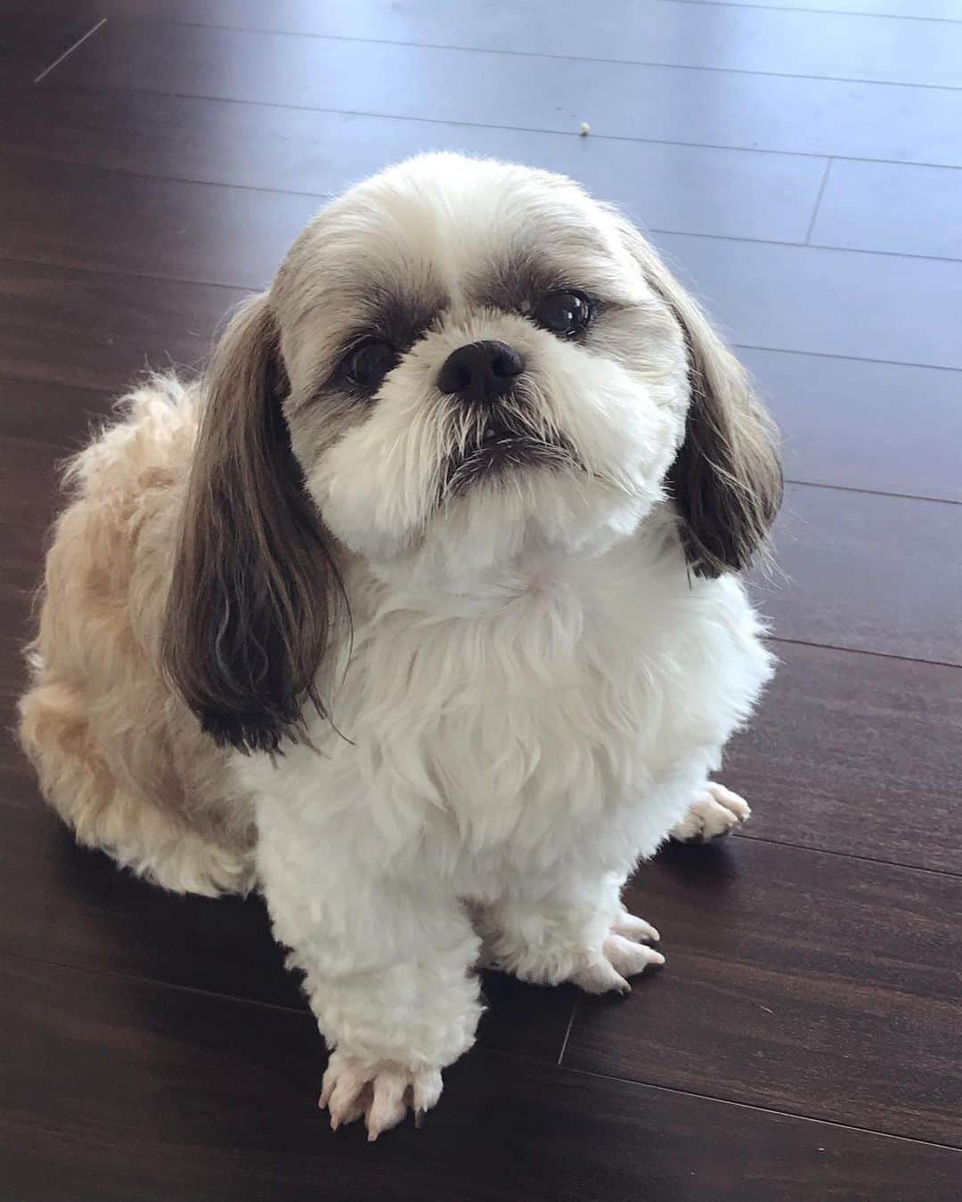 榊原みゆくのインスタグラム