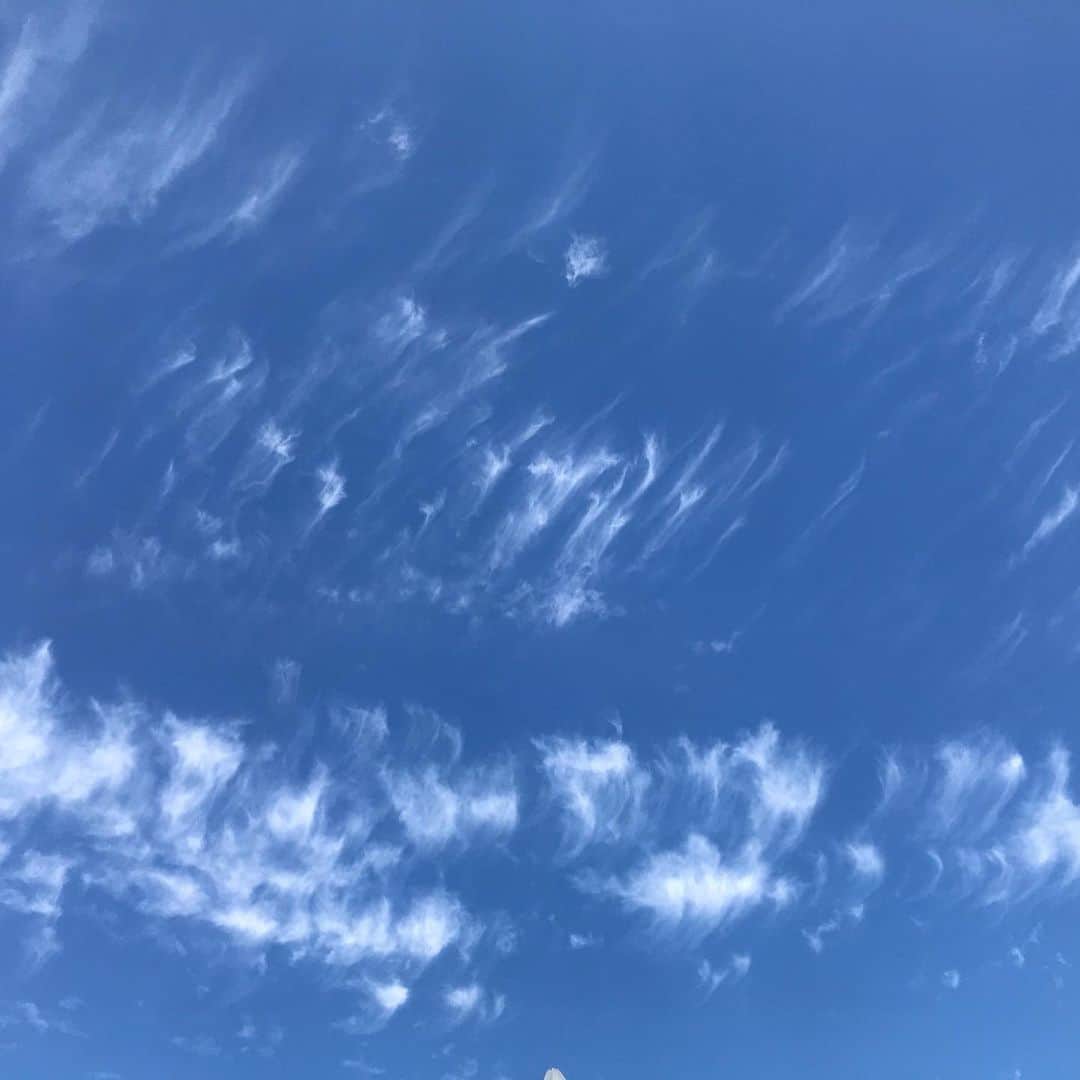 田添菜穂子さんのインスタグラム写真 - (田添菜穂子Instagram)「電車で1時間半のところに用事できたらば、思いがけず広い空に会えました😊 もう、雲が秋。  遠くに来た開放感から、つい調子に乗ってパンケーキ…😊」9月19日 12時27分 - nahokotazoe