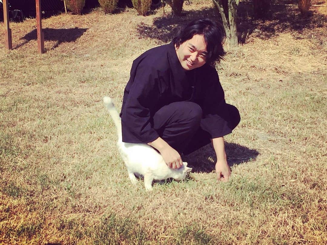 武田双雲さんのインスタグラム写真 - (武田双雲Instagram)「小豆島から小さい島沖ノ島へ行ったら 真っ白い猫が近づいてきてスリスリしてくれた。ゴロゴロゴロゴロ喉ならしとる 僕もゴロゴロゴロゴロ」9月19日 11時06分 - souun.takeda