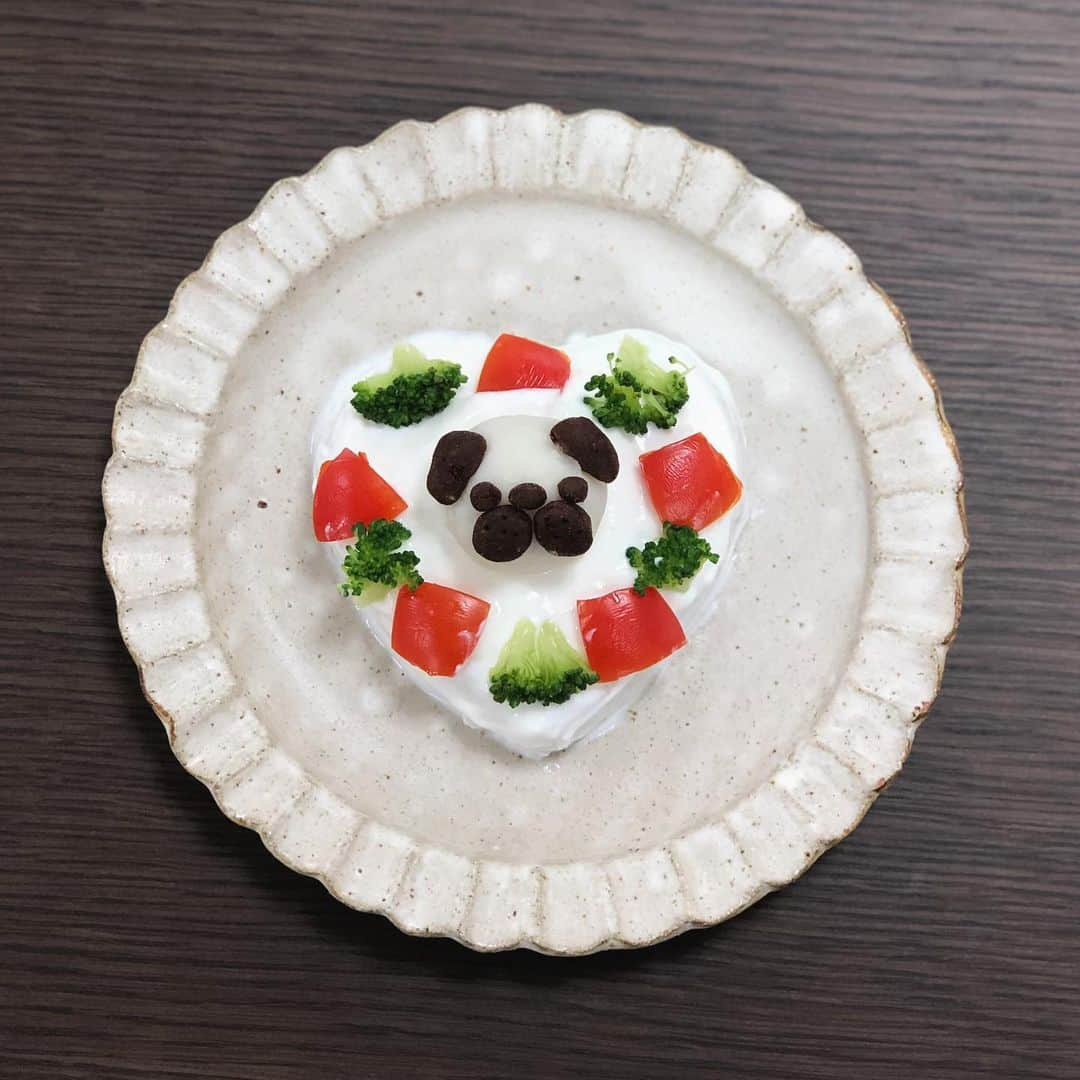 八兵衛さんのインスタグラム写真 - (八兵衛Instagram)「HBD to Hachibei from mom🙋‍♀️ 🎉 (homemade pug cake😆) * *  Thank you for many comments of the celebration on his birthday(Sep16)🐶🥰🙏❤️❤️❤️ * * 先日の八兵衛の誕生日に お祝いのコメント、 暖かいメッセージを どうもありがとうございました🙏❤️ たくさんの方にお祝いしていただき 驚いたのと同時に、ありがたい気持ちで胸が一杯になりました😭 お一人お一人にお礼を伝えたいのですが…こちらでみなさまへのお礼とさせてください🙇🏻‍♀️🙇🏻‍♀️🙇🏻‍♀️すみません🙏 * * 八兵衛がパピーの頃 初めて出会ったシニアのパグちゃんが 確か13歳でした。 とても優しいお顔をしていて シニアって可愛いなあ😍とシニア好きになりました。 八兵衛は顔黒でドロボー顔で 顔面の圧が強めだったので(笑) 余計そう思ったのかもしれません😂 * * あの頃憧れたシニアに八兵衛も仲間入りしました。 白くなっていく顔も飼い主的には 寂しさや切なさはなく、 ウフフ♡と毎日眺めています☺️ 出来なくなっていくことも 多くなりましたが悲しさはなく 出きないことも愛おしいと 感じています。 (もう少し若い頃は、八兵衛が歳を重ねることに対して何故だか切ない感情が多かった気がします。なんでだろう🤔w) * * ハイシニアの先輩パグちゃんも たくさんいますから✨ 八兵衛もいろいろ病気はありますが ゆるりゆるりと日々を過ごして 歳を重ねていけたらいいなと 思います👴🏻✨ * * * さて、遅くなりましたが みなさまお待ちかねの(笑) 恒例パグの共喰いを開催しました😂🎊 * * ②今回は写真撮影中に 八兵衛がフライング💨 パグ人形が崩れました😂 ①なんとか修正して 共喰い開始〜🎂 ③年々雑になっていく パグケーキ。 ヨーグルトは水切りしきれてない(笑) まあ喜んで食べてくれたから いいよね😂 * * #犬ケーキ #犬誕生日ケーキ #手作り犬ケーキ #ほぼ黒パグ #おじいちゃん犬 #pug #puggy #puglife #puglove #petstagram #pugstagram #pugsofinstagram #pugs #dog #ふわもこ部  @igersjp #IGersJP #east_dog_japan #pecoイヌ部 #八兵衛 #はちべえ #朝ワンコ夕ニャンコ」9月19日 11時20分 - huxxi