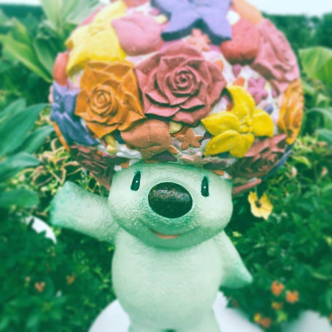 中野敬久さんのインスタグラム写真 - (中野敬久Instagram)「#whoisthis #roses #rosegarden #hello #yokohama」9月19日 7時58分 - hirohisanakano