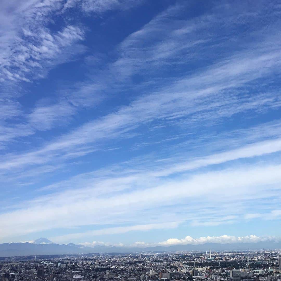Park Hyatt Tokyo / パーク ハイアット東京のインスタグラム