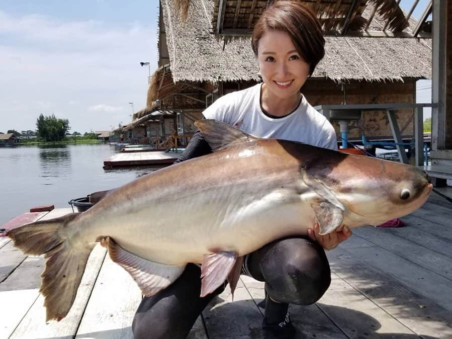 谷田圭（たにけい）のインスタグラム