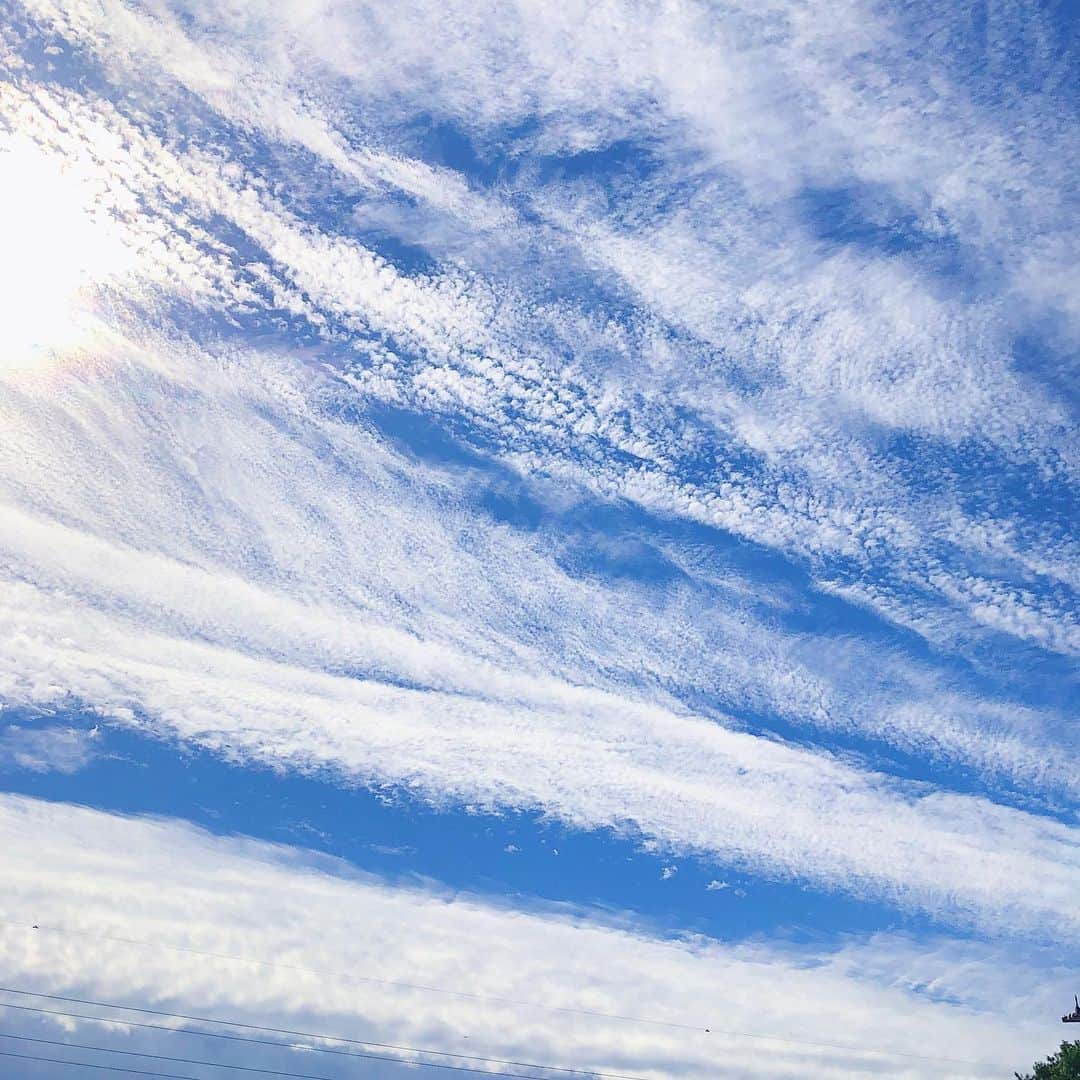 岡部玲子さんのインスタグラム写真 - (岡部玲子Instagram)「朝早くに外に出たら涼しかった〜っ🍂 空はすっかり秋🍁 でも、昼間は暑くなりそうですね‼️ 夏大好きな私は、秋のこういった天気と気温を貴重に思ったり☺️ 昨日作ったフェルトのおままごとでモーニング🤣  皆様も素敵な一日を✨  #岡部玲子 #子育て #主婦 #アラフォーママ #タレント #レポーター #40代 #キャスター #競馬キャスター #アナウンサー #女子アナ #フリーアナウンサー #元アイドル #アイドル #色々やってます #夏生まれ #フェルトままごと  #モーニング #mama #talent #reporter  #sky #autumn #japan #tokyo #handmadetoy ##morning #smile #happy #love」9月19日 10時31分 - reiko_okabe