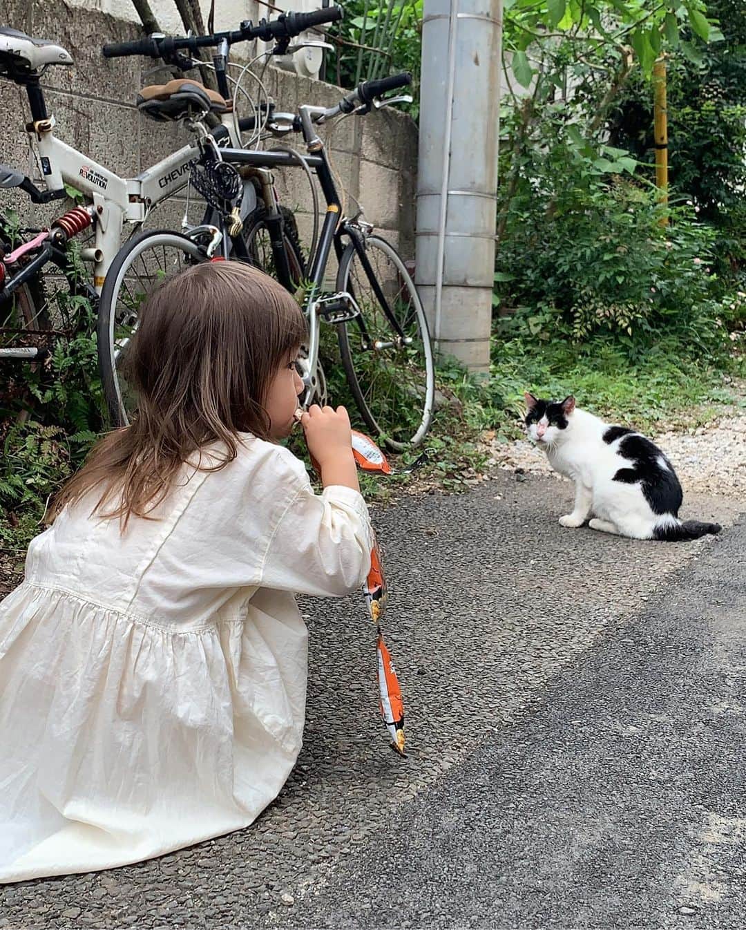 坂本美雨さんのインスタグラム写真 - (坂本美雨Instagram)「ネコ吸い妖怪を母に持つとネコに近づくだけでも教育的指導がやかましや〜。 #ネコ吸い  いつかの #今日のなまこちゃん #なまこムービー #毎日が #動物愛護週間」9月19日 10時29分 - miu_sakamoto