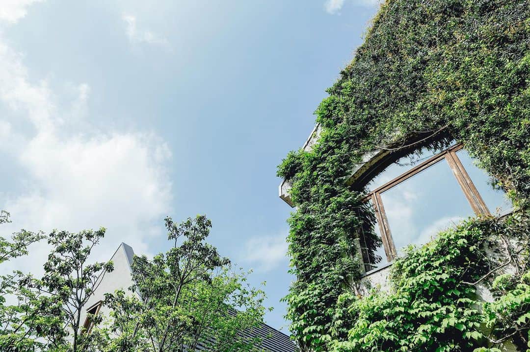 ラクラリエールのグルメインスタ