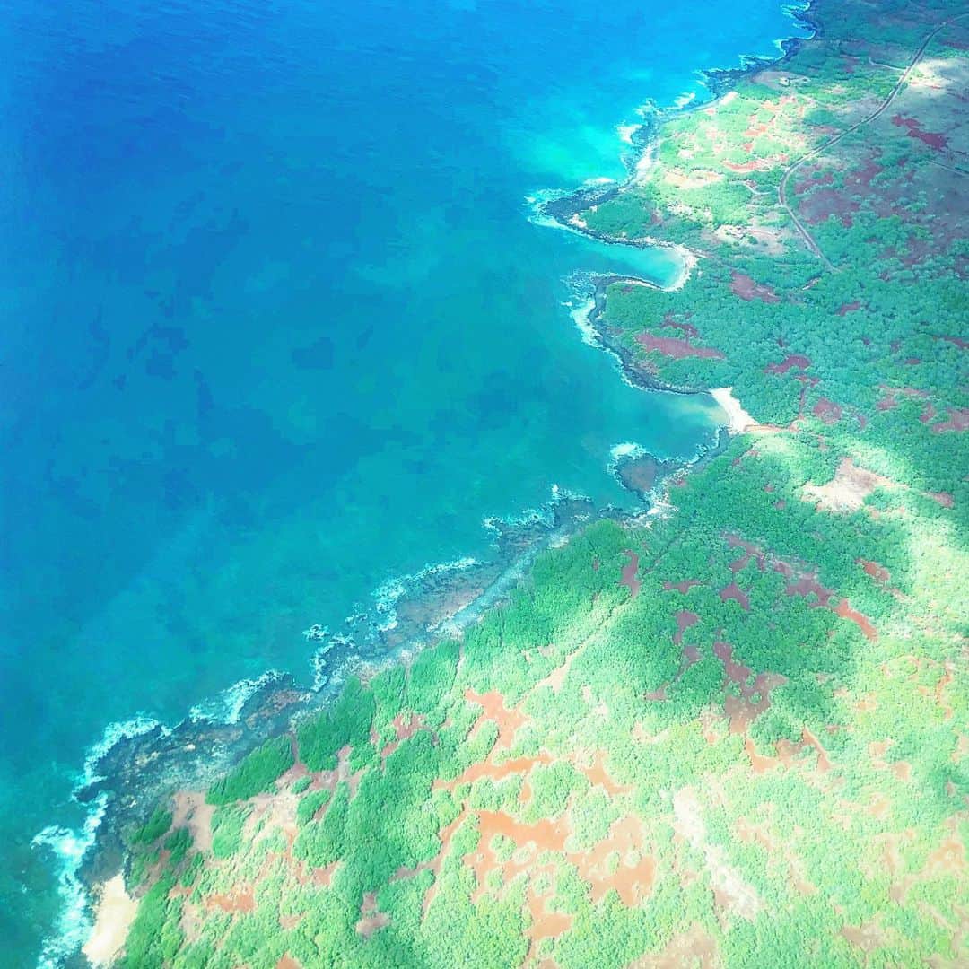 山崎美弥子さんのインスタグラム写真 - (山崎美弥子Instagram)「Island Shoreline  島のショアーライン。  #surf #ocean #island #beach #art #artwork #shell #coral #hawaii #painting  #landscape  #contemporaryart #seascape #canvas #artstudio #light #life #live #miyakoyamazaki #hawaii #tokyo 山崎美弥子 #絵画」9月19日 10時51分 - miyakoyamazaki