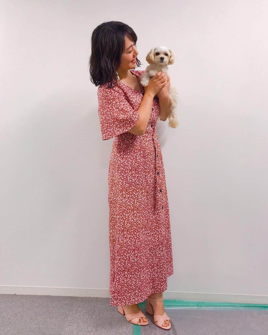 磯山さやかさんのインスタグラム写真 - (磯山さやかInstagram)「映画『僕のワンダフル・ジャーニー』 LINE LIVEの時の衣装です。 愛犬と共に出演させていただきました♡ この映画については、また今度。  ワンピース @mystrada_official  イヤリング @abiste_official  靴 @charleskeith_jp」9月19日 10時53分 - sayakaisoyama