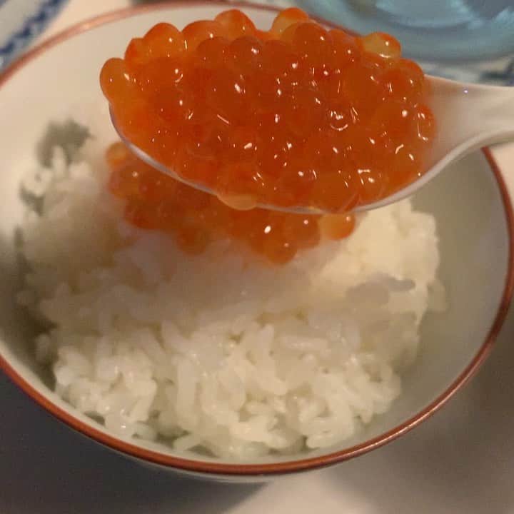 福井晶一のインスタグラム